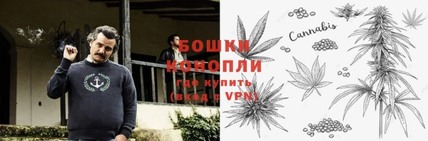 метадон Инсар