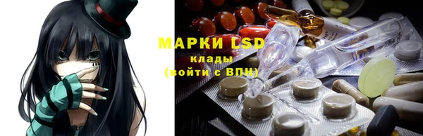 гидропоника Иннополис