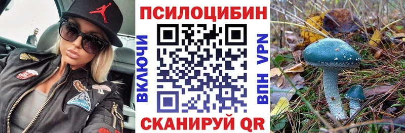 Галлюциногенные грибы Cubensis Дедовск