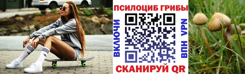 Купить где  Дедовск  Псилоцибиновые грибы MAGIC MUSHROOMS 